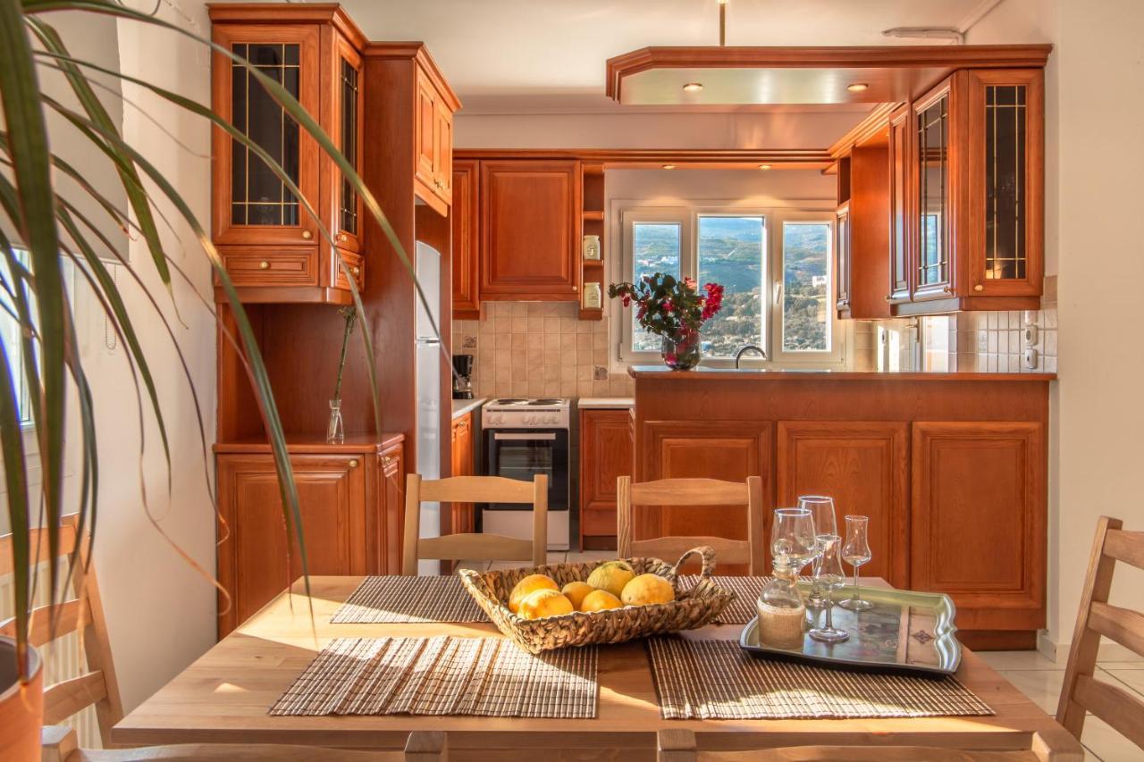 Eleni'S Seaview House Apartment Andros Town Luaran gambar
